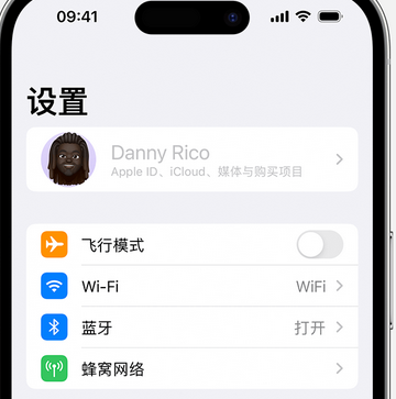 扎鲁特appleID维修服务iPhone设置中Apple ID显示为灰色无法使用 