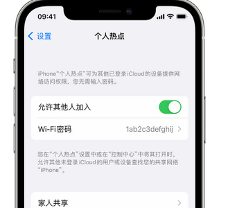 扎鲁特apple服务站点分享iPhone上个人热点丢失了怎么办 