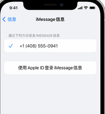 扎鲁特apple维修iPhone上无法正常发送iMessage信息 