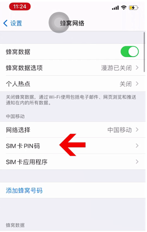 扎鲁特苹果14维修网分享如何给iPhone14的SIM卡设置密码 