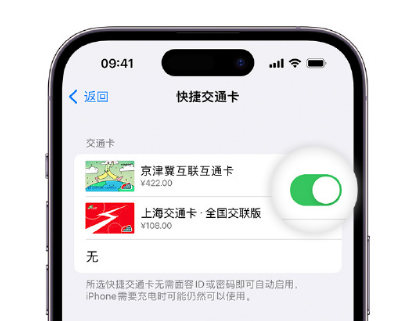 扎鲁特apple维修点分享iPhone上更换Apple Pay快捷交通卡手绘卡面 