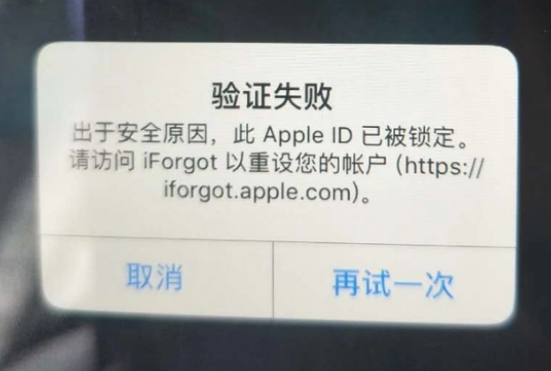 扎鲁特iPhone维修分享iPhone上正常登录或使用AppleID怎么办 