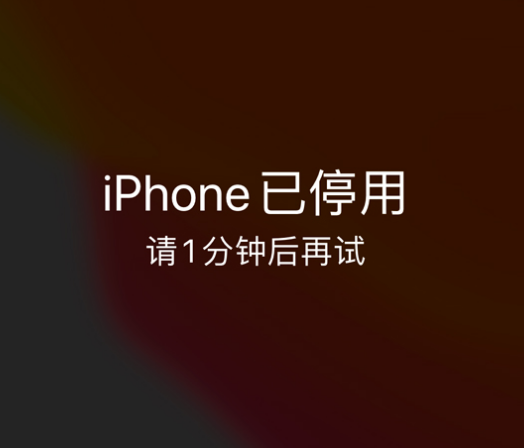 扎鲁特苹果手机维修分享:iPhone 显示“不可用”或“已停用”怎么办？还能保留数据吗？ 