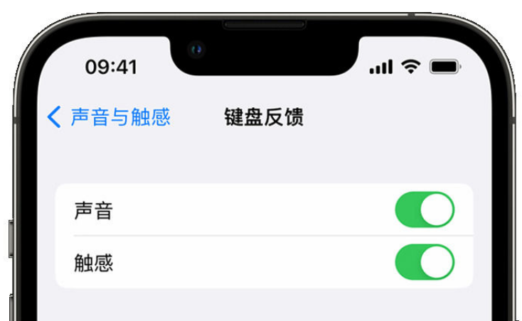 扎鲁特苹果手机维修分享iPhone 14触感键盘使用方法 