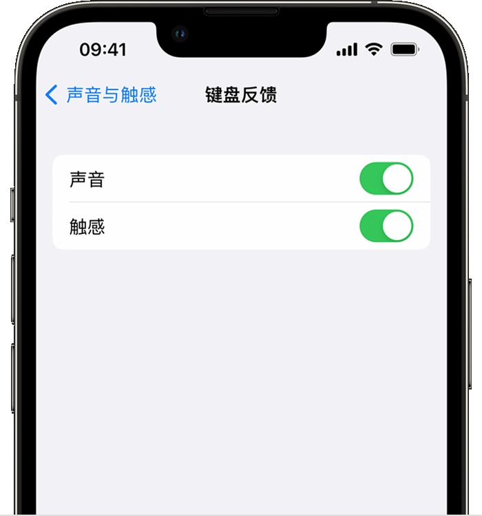 扎鲁特苹果14维修店分享如何在 iPhone 14 机型中使用触感键盘 