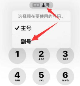 扎鲁特苹果14维修店分享iPhone 14 Pro Max使用副卡打电话的方法 