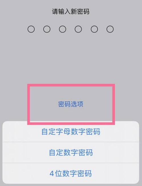 扎鲁特苹果14维修分享iPhone 14plus设置密码的方法 