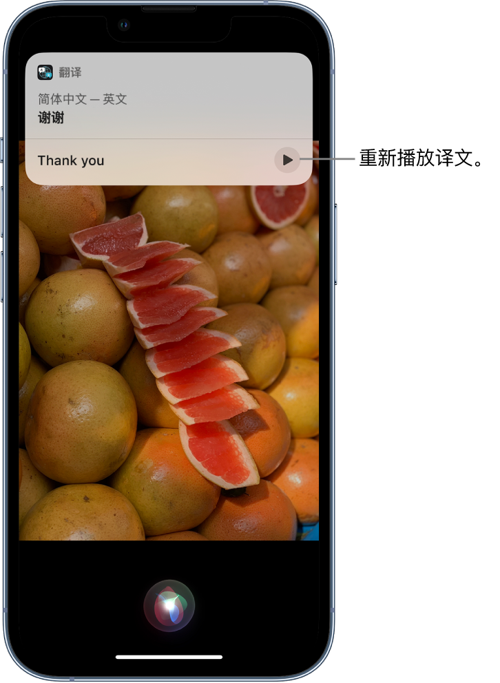 扎鲁特苹果14维修分享 iPhone 14 机型中使用 Siri：了解 Siri 能帮你做什么 