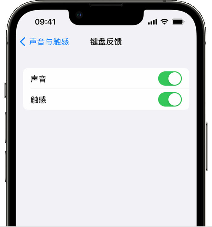 扎鲁特苹果14维修分享iPhone 14 系列机型如何开启键盘声音或触感反馈 