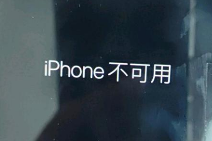 扎鲁特苹果服务网点分享锁屏界面显示“iPhone 不可用”如何解决 