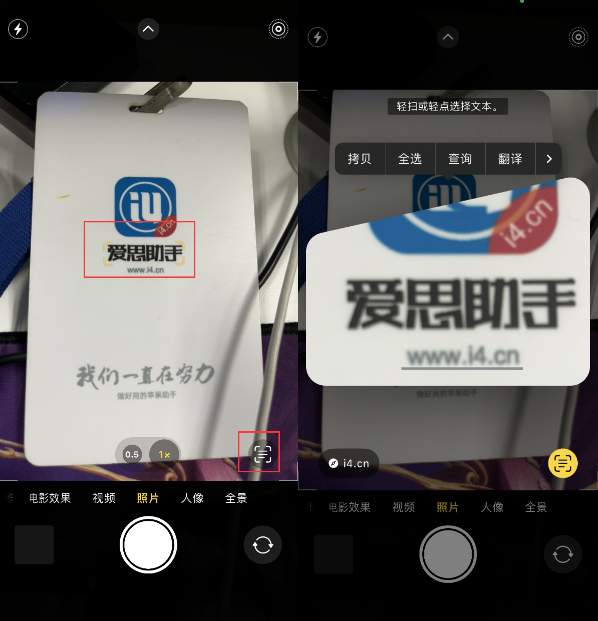扎鲁特苹果手机维修分享升级iOS 16后如何通过相机翻译文本 