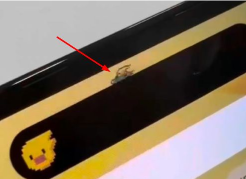 扎鲁特苹果14维修分享iPhone 14 Pro Max灵动岛怎么养宠物 