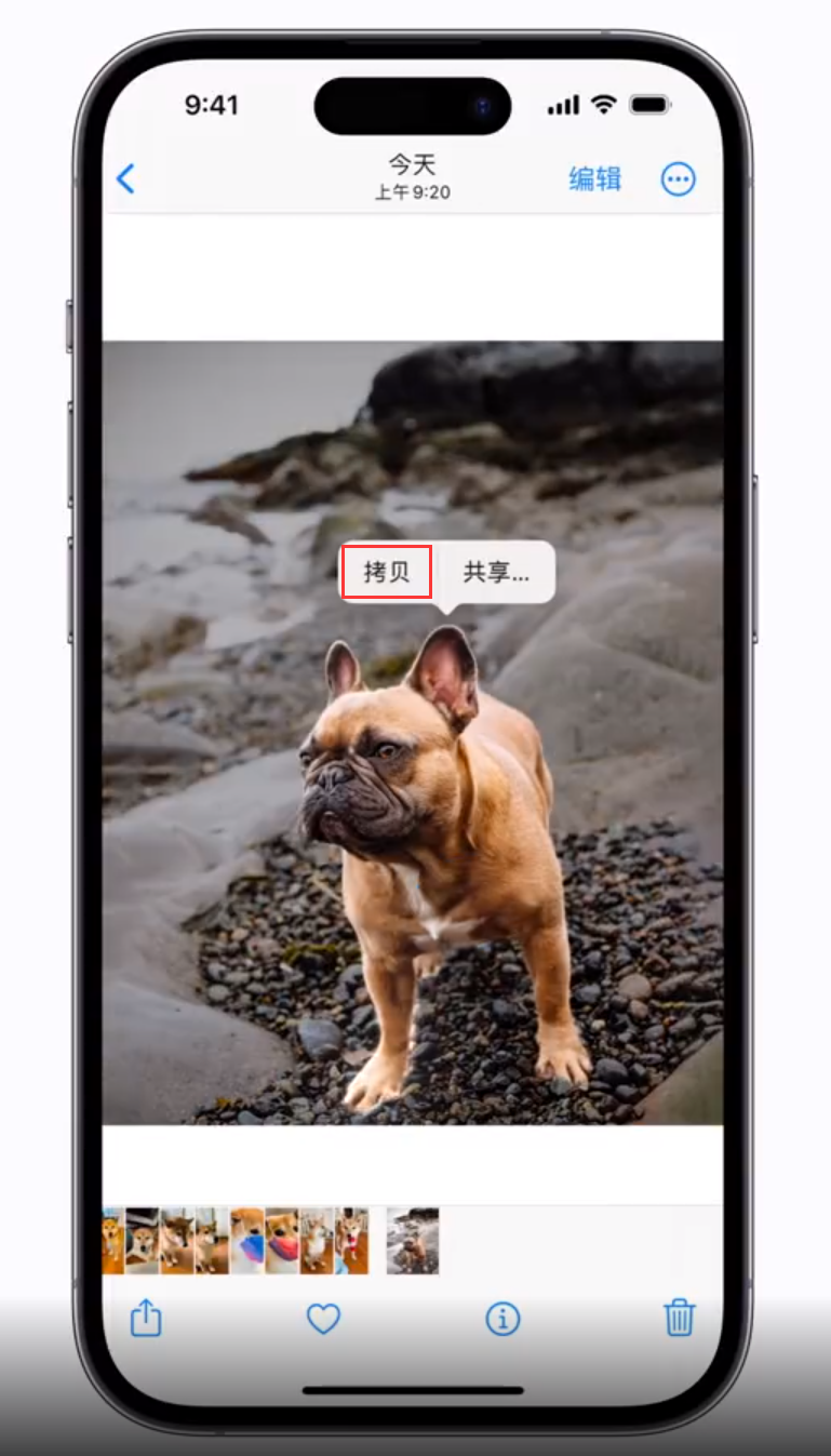 扎鲁特 苹果手机维修分享iOS 16 “照片”应用更新内容与改进汇总 