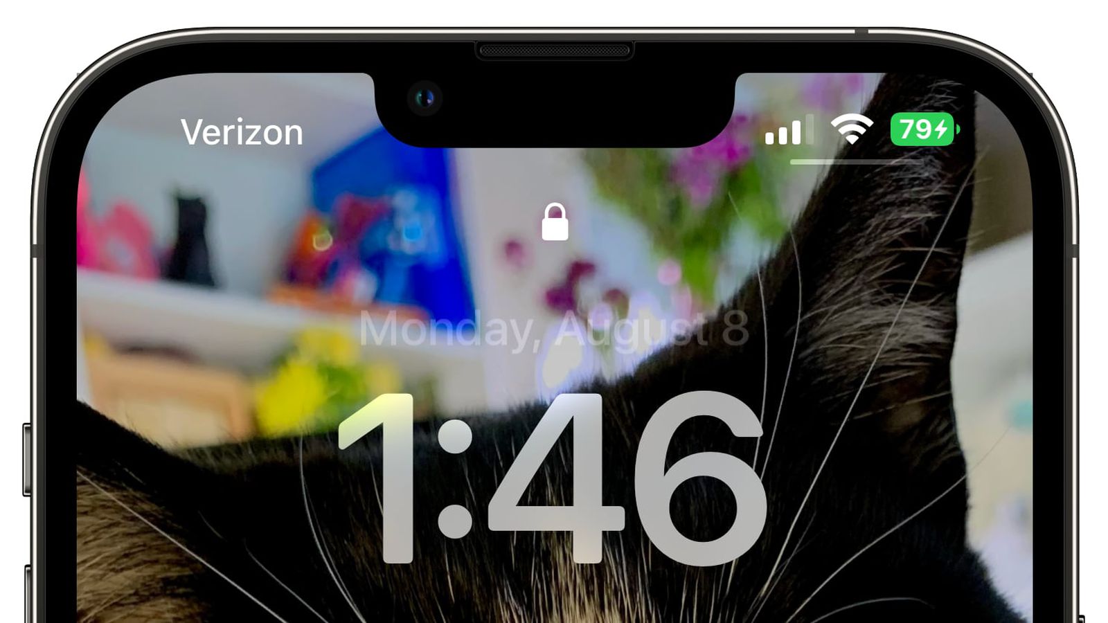 扎鲁特苹果手机维修分享iOS 16 beta 5 支持状态栏显示电池百分比，如何开启？支持哪些机型 