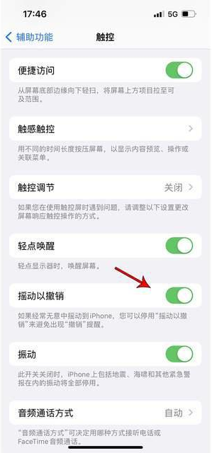 扎鲁特苹果手机维修分享iPhone手机如何设置摇一摇删除文字 