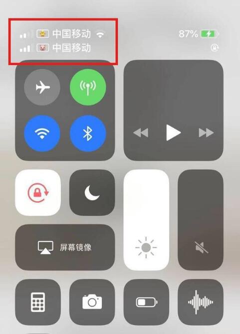 扎鲁特苹果手机维修分享为 iPhone 12 双卡设置标签 